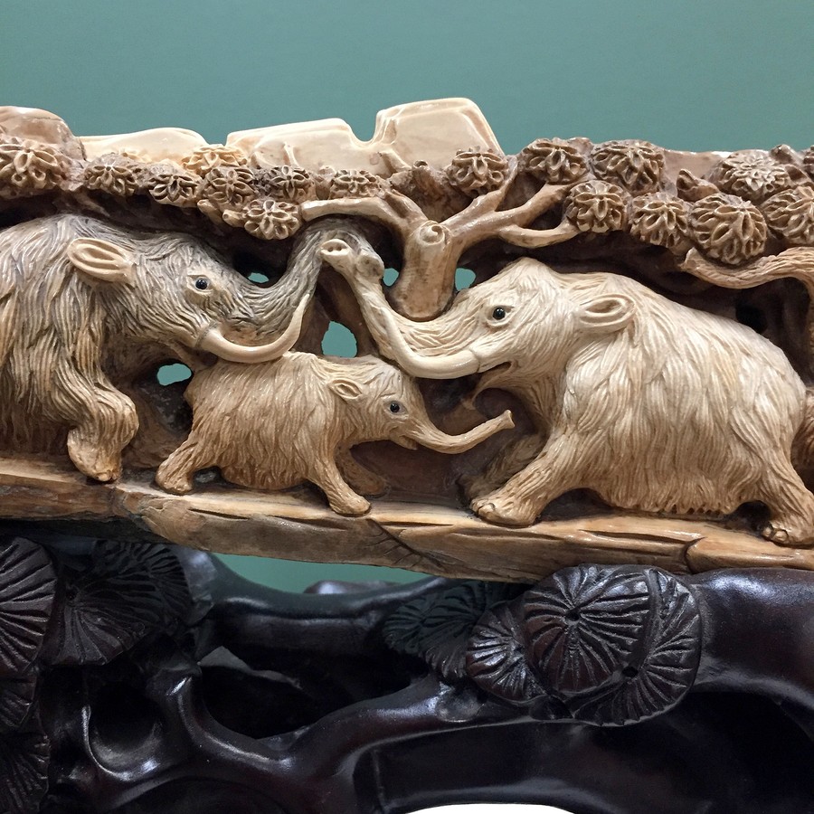 woolly mammoth tusk jewelry